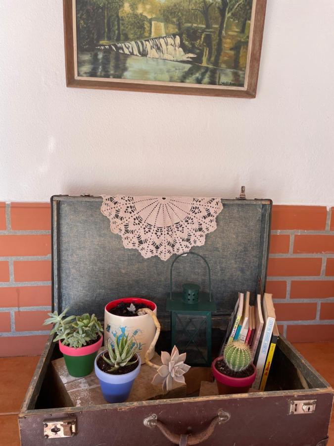 Del Rey Guest House Tomar Buitenkant foto